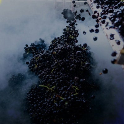 Silver Oak Cabernet Sauvignon Napa Valley 2017 シルバー オーク