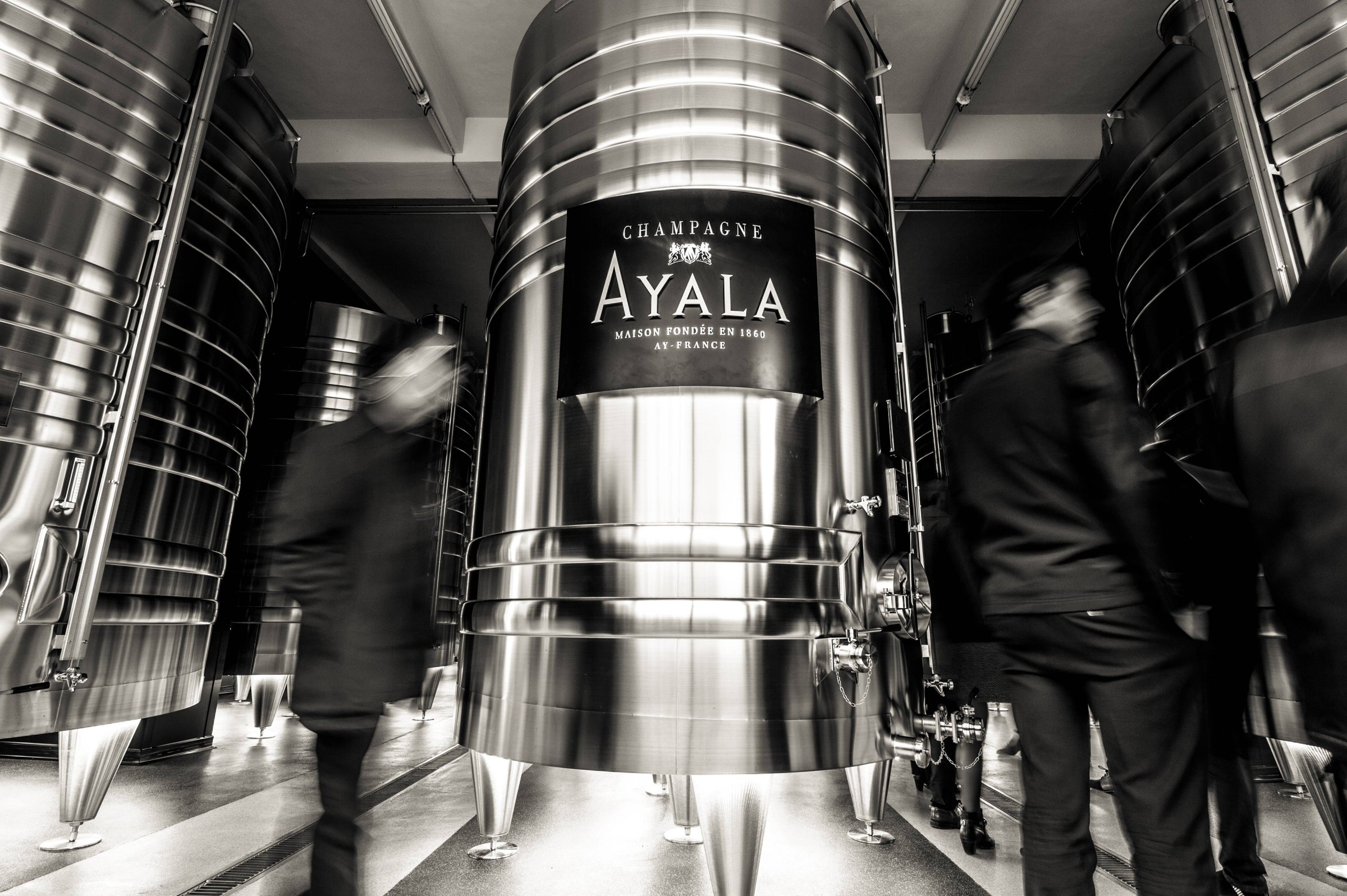Champagne AYALA La Perle 2012 | Mali