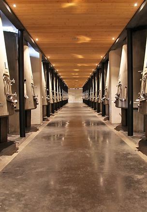 Chateau Pontet Canet 2019 シャトー ポンテ カネ 2019 | Mali's Wine